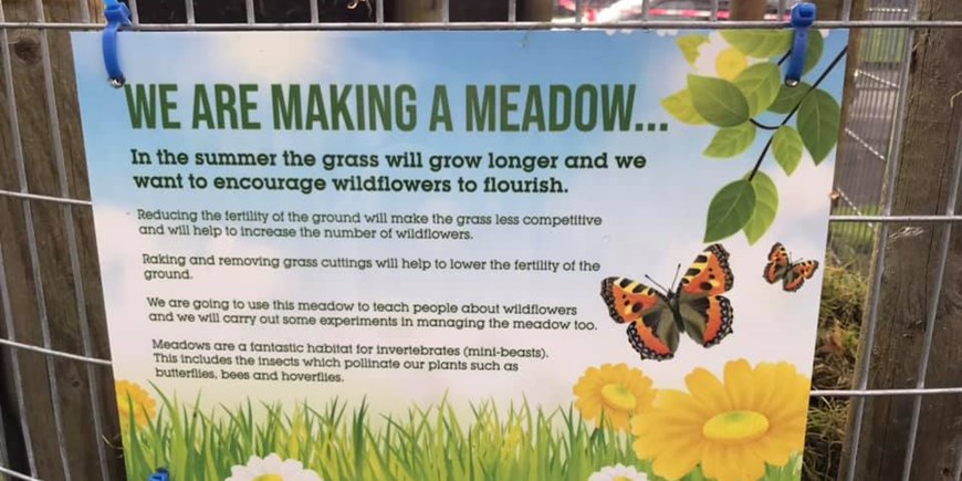 Making a meadow.jpg