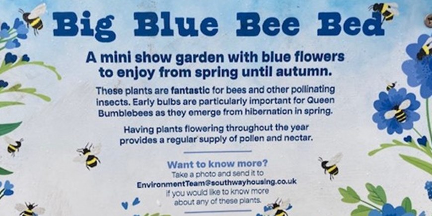 Darley Avenue bee bed sign.jpg