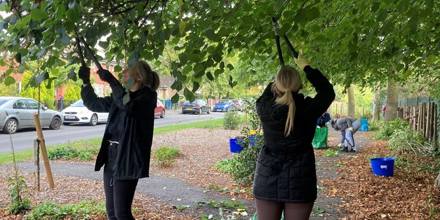 Wintermans Road pruning.jpg