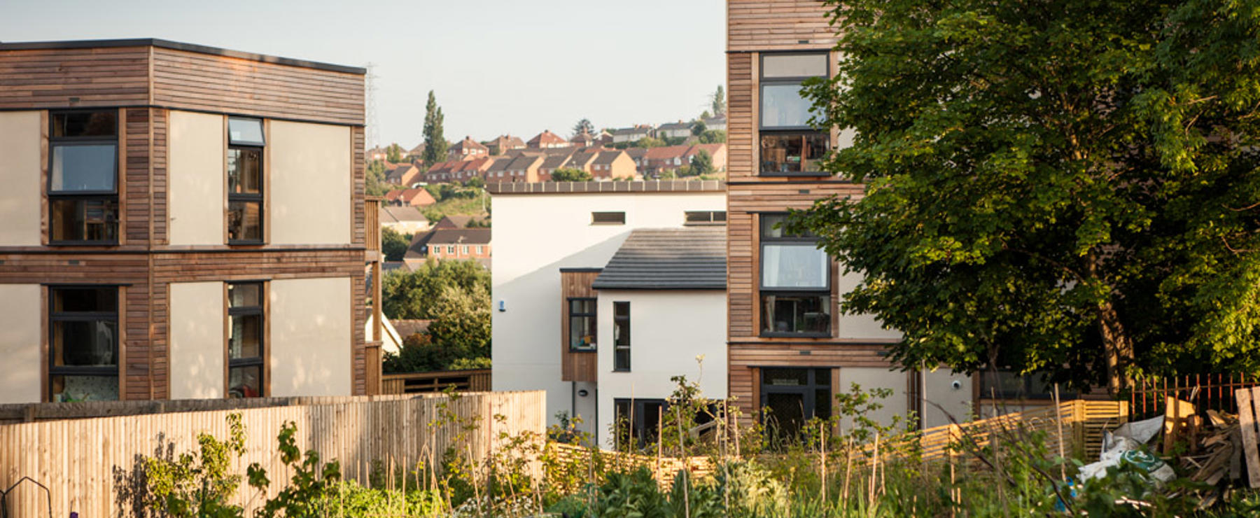 LILAC Cohousing