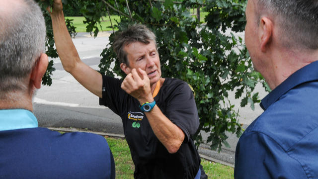 Greenflag 101