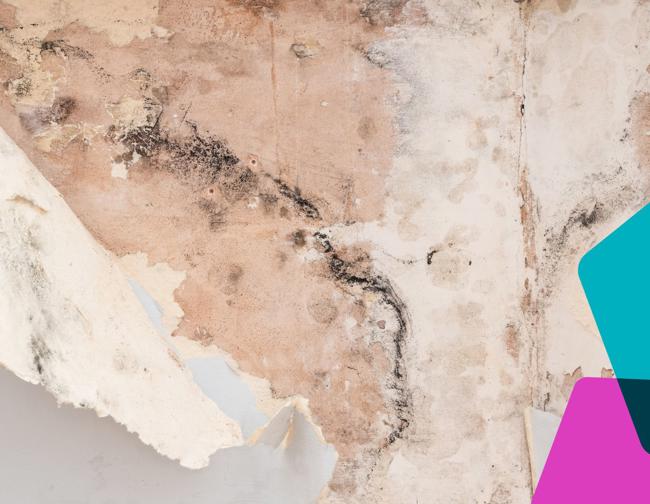 Peeling Wallpaper (1)