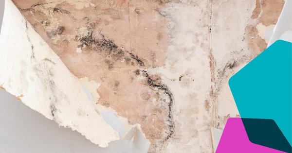 Peeling Wallpaper (1)