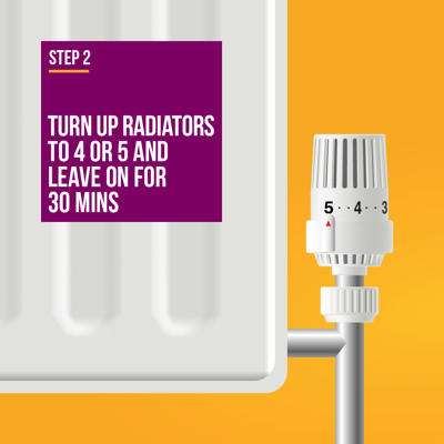 Step 2 Radiator Setting 5
