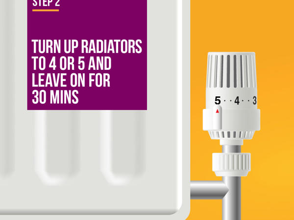 Step 2 Radiator Setting 5