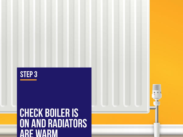 Step 3 Radiator