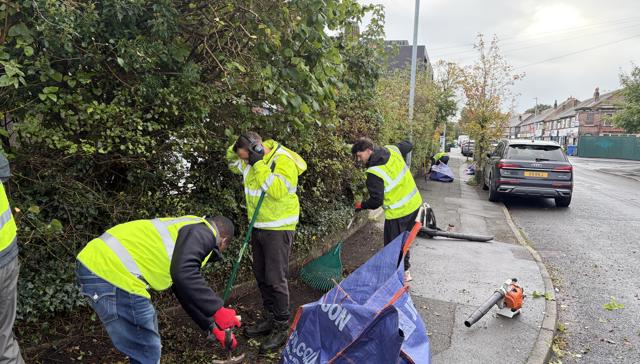 Team Hedge Trimming