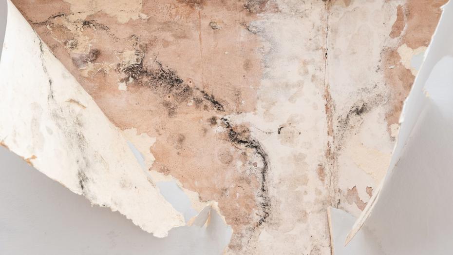 Peeling Wallpaper