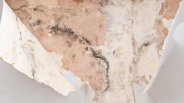 Peeling Wallpaper Peeling Wallpaper
